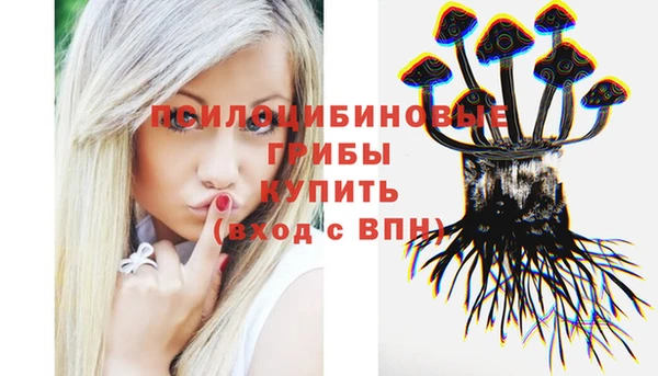 трава Арсеньев
