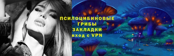 соль ск Бутурлиновка