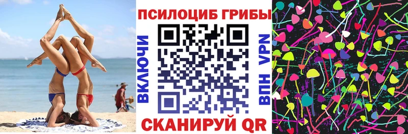 Галлюциногенные грибы MAGIC MUSHROOMS  Гурьевск 