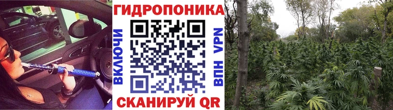 МАРИХУАНА AK-47  как найти закладки  Гурьевск 